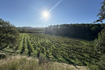 Spain, Penedès Spain, Penedès