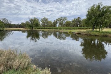 Australia, Swan Valley Australia, Swan Valley